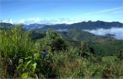 Kalaw