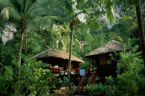 jungle_hut.jpg