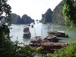 Halong Bay Tour