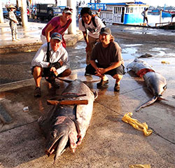 Nha Trang Fish Market