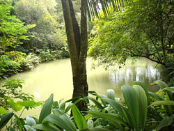 Kuang Xi Waterfalls