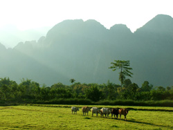 Vieng Xai