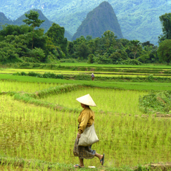 Laos Cycling Tour