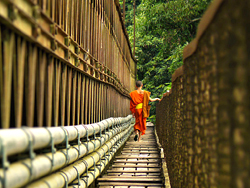 Monk in Luang Prabang