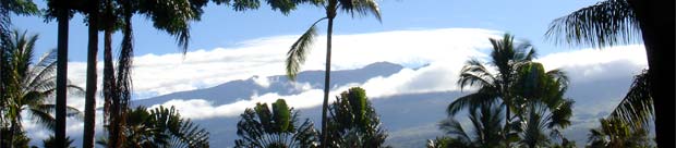 Cycling Haleakala, Maui Hawaii